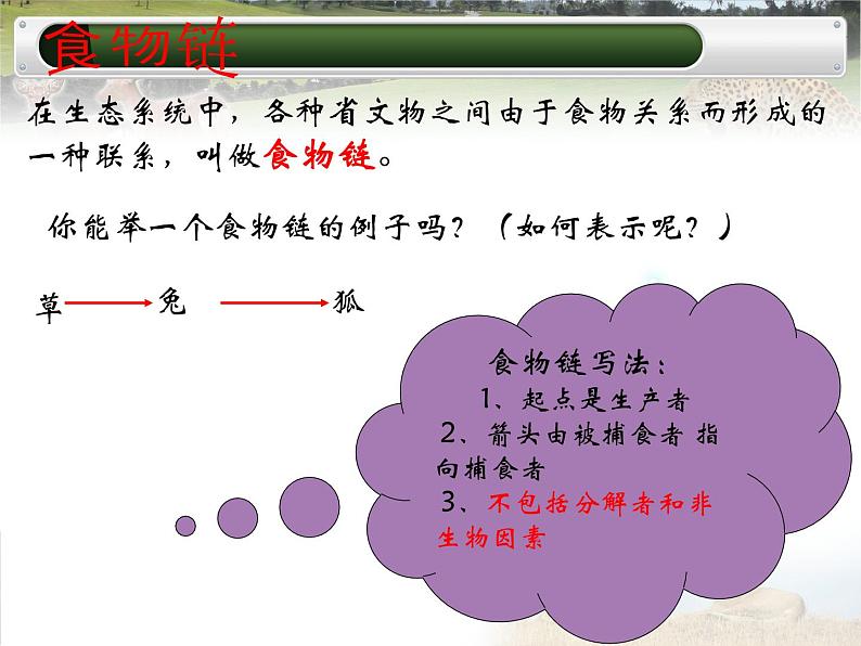 冀教版八年级下册生物  7.2.2食物链和食物网 课件第6页