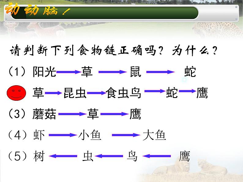 冀教版八年级下册生物  7.2.2食物链和食物网 课件第7页