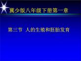 冀教版八年级下册生物  6.1.3人的生殖和胚胎发育 课件