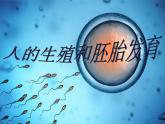 冀教版八年级下册生物  6.1.3人的生殖和胚胎发育 课件
