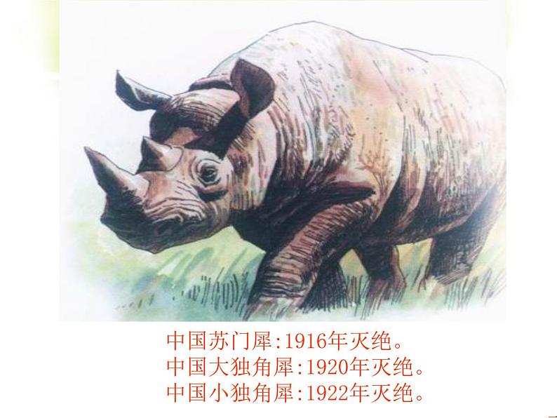 冀教版八年级下册生物  7.3.3保护生物多样性 课件03