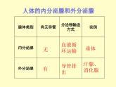 苏教版七年级下册生物 12.1人体的激素调节 课件