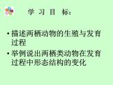 苏教版八年级下册生物 21.4两栖类的生殖与发育 课件