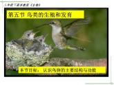 苏教版八年级下册生物 21.5鸟类的生殖与发育 课件