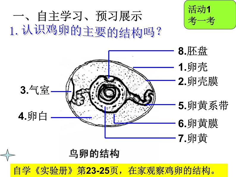 苏教版八年级下册生物 21.5鸟类的生殖与发育 课件02