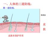 苏教版八年级下册生物 25.3免疫 课件