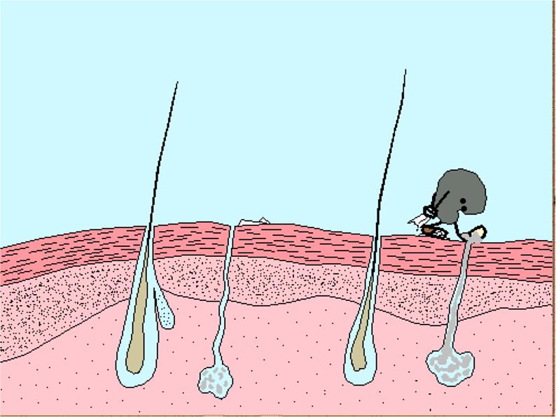 苏教版八年级下册生物 25.3免疫 课件06