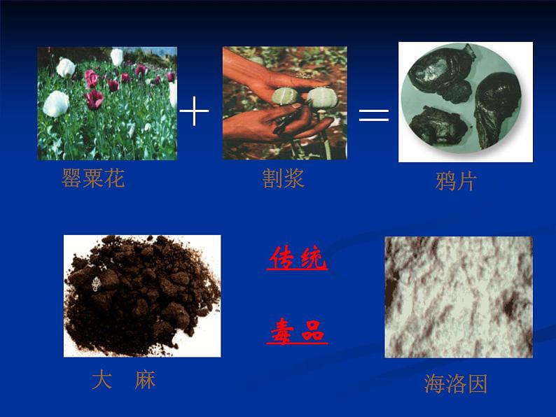 苏教版八年级下册生物 26.2拒绝毒品 课件07