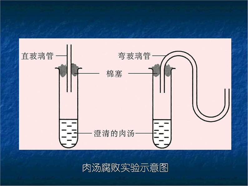 苏教版八年级下册生物 23.2食品保存 课件第4页