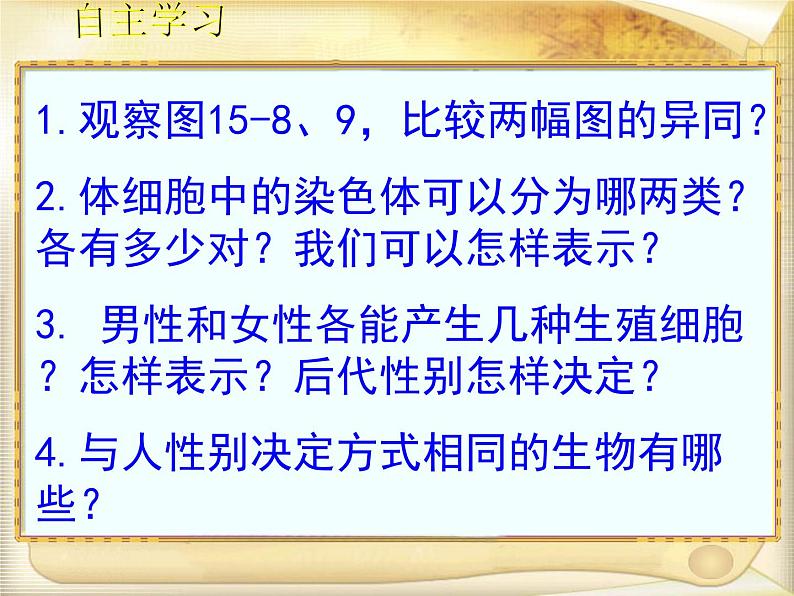 苏教版八年级下册生物 22.3人的性别决定  课件03