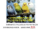苏教版八年级下册生物 22.5生物的变异 课件