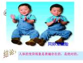 苏教版八年级下册生物 22.5生物的变异 课件