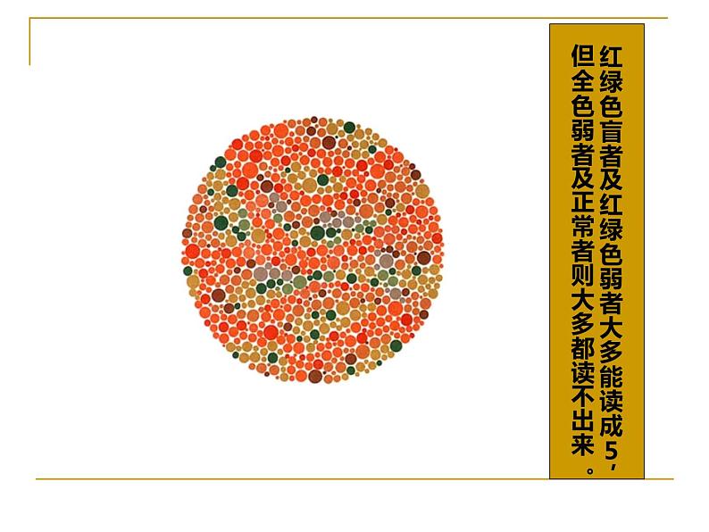 苏教版八年级下册生物 22.4遗传病和优生优育  课件08