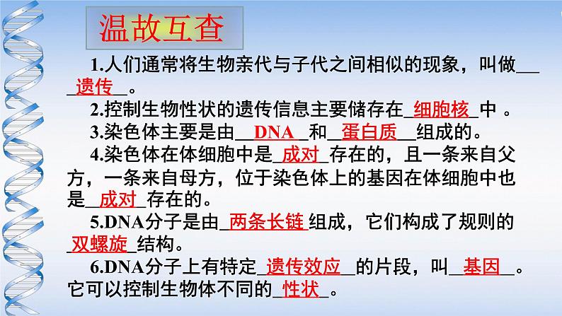 苏教版八年级下册生物 22.2人的性状和遗传 课件第3页