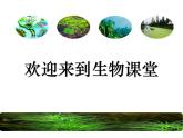 苏科版七年级下册生物 10.2水中的藻类植物 课件