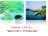 苏科版七年级下册生物 10.2水中的藻类植物 课件
