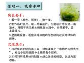苏科版七年级下册生物 10.2水中的藻类植物 课件