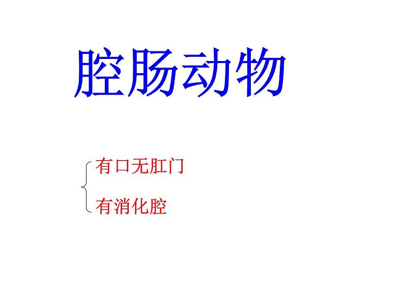 苏科版七年级下册生物 10.1水中的动物 课件05