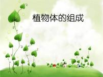 苏科版七年级下册第1节 植物体的组成图文ppt课件