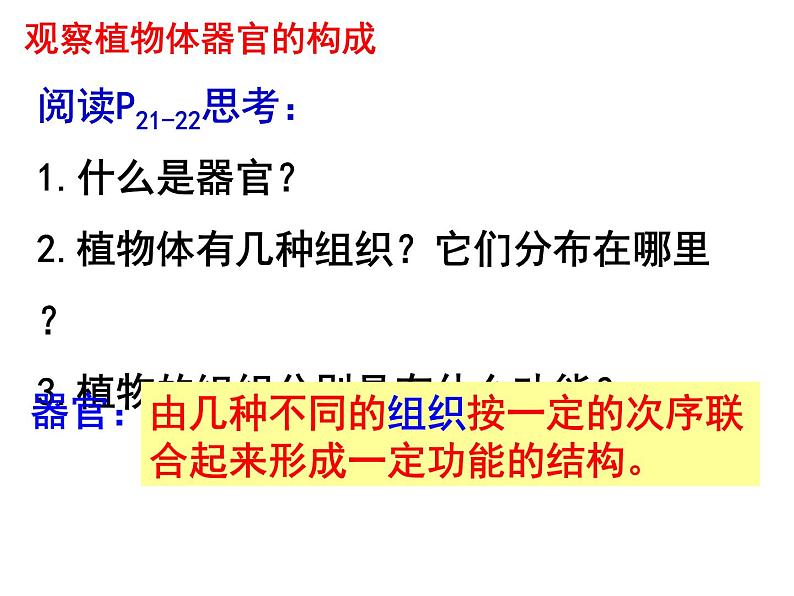 苏科版七年级下册生物 9.1植物体的组成 课件第7页