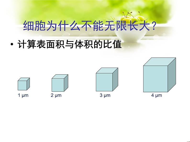 苏科版七年级下册生物 8.2细胞的分裂和分化 课件08