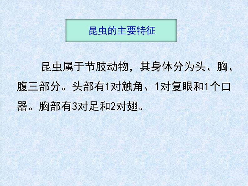 苏科版七年级下册生物 12.2昆虫 课件05