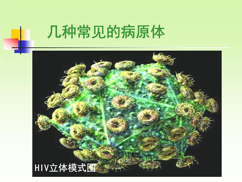 苏科版八年级下册生物 24.2传染病的预防 课件03