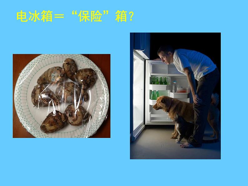 苏科版八年级下册生物 25.2关注家庭生活安全 课件第5页