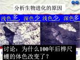 苏科版八年级下册生物 23.3生物进化的原因 课件