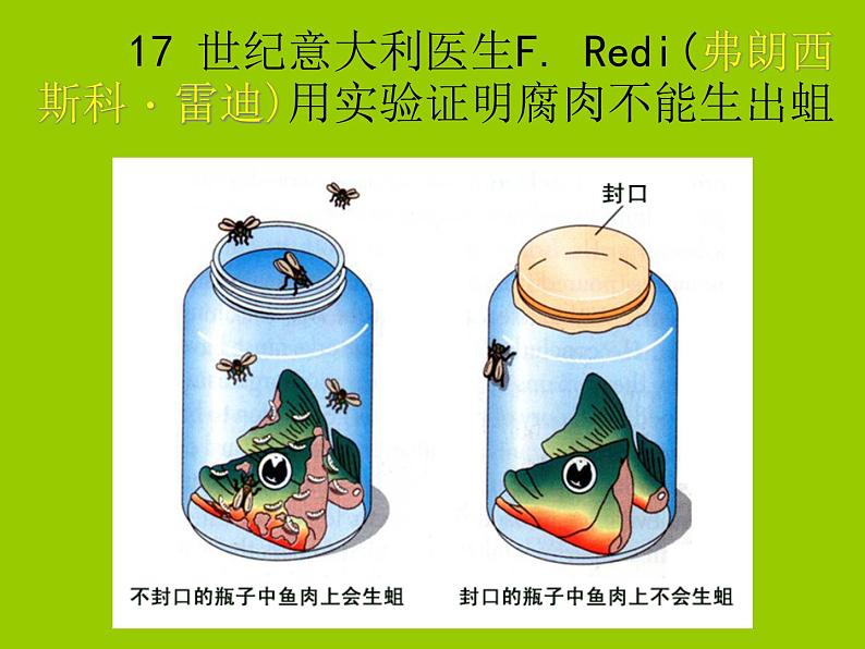 苏科版八年级下册生物 23.1生命的起源 课件08