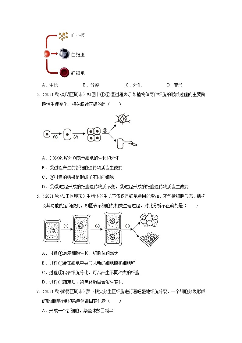 2022年广东省中考生物复习专练——专题2细胞的分裂、生长、发育+解析版第2页