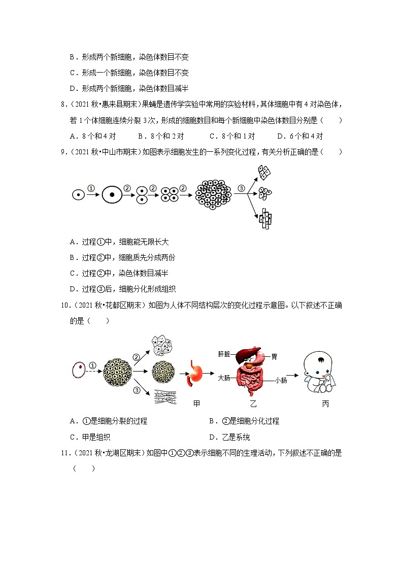2022年广东省中考生物复习专练——专题2细胞的分裂、生长、发育+解析版第3页