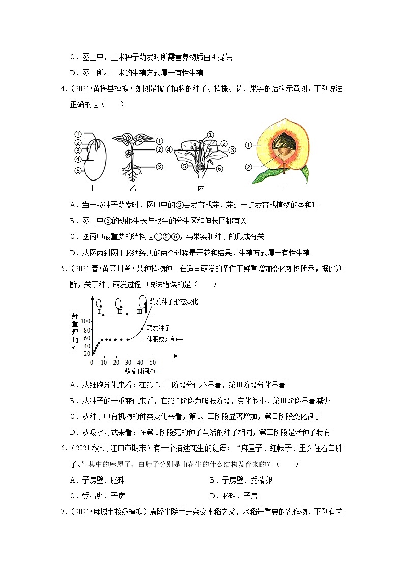 2022年湖北中考生物复习专练——专题6植物的一生+解析版02