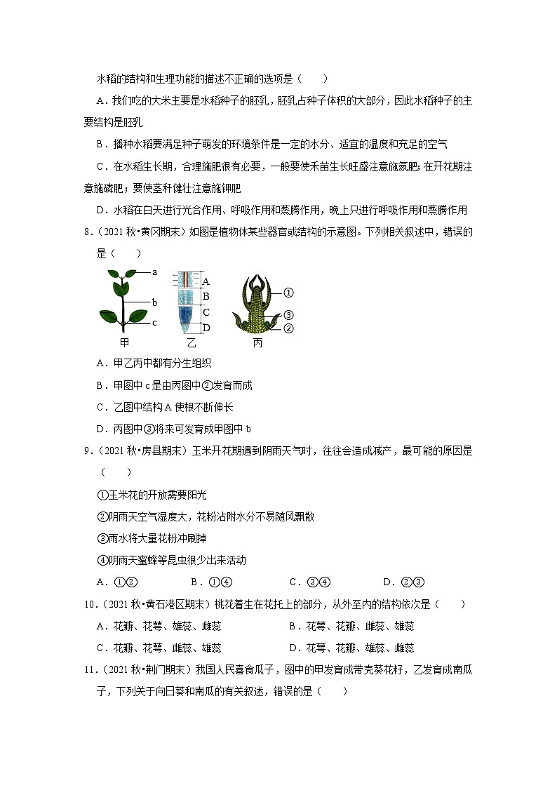 2022年湖北中考生物复习专练——专题6植物的一生+解析版03