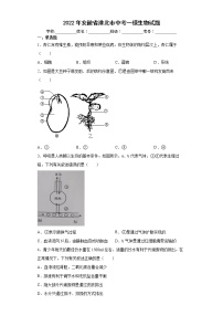 2022年安徽省淮北市中考一模生物试题(word版含答案)