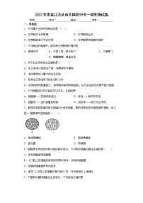 2022年黑龙江大庆市大同区中考一模生物试题(word版含答案)