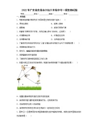 2022年广东省东莞市六校八年级中考一模生物试题(word版含答案)