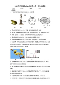 2022年四川省达州市达川区中考一模生物试题(word版含答案)