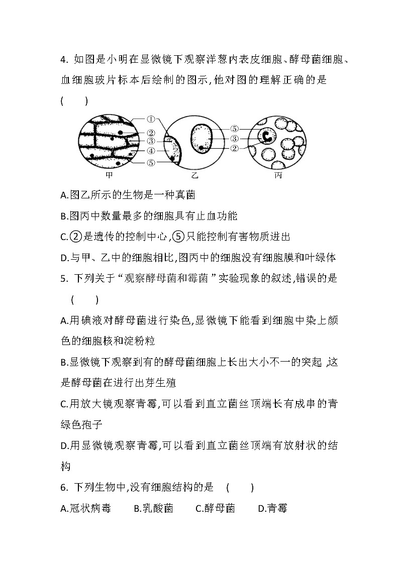 中考总复习专题九 各种各样的生物（初中生物专题复习提高训练）02