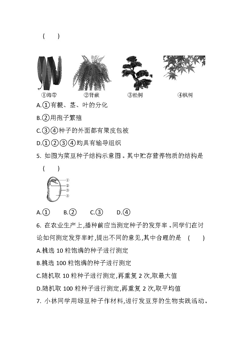 中考总复习专题三　绿色开花植物的一生（初中生物专题复习提高训练）02