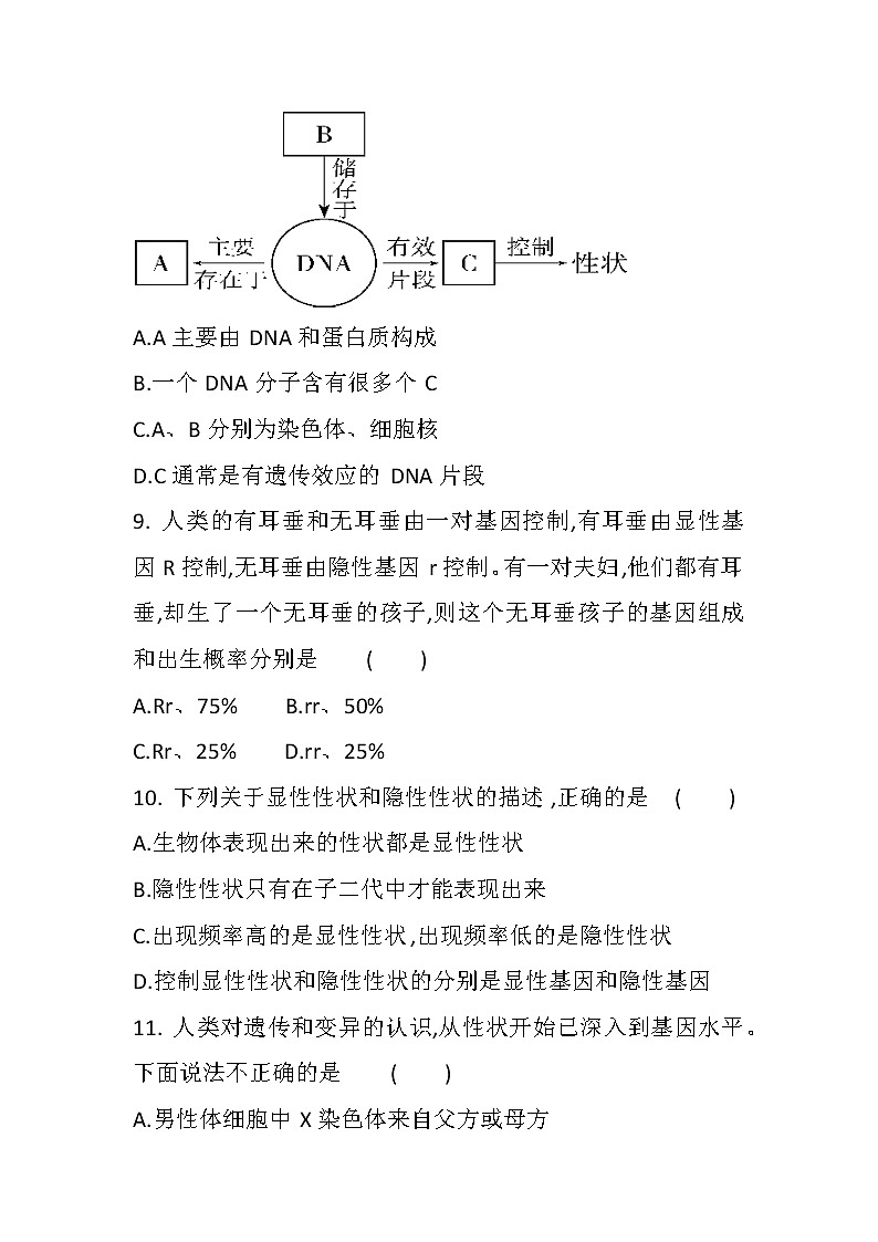 中考总复习专题十二　生物的遗传和变异（初中生物专题复习提高训练）03