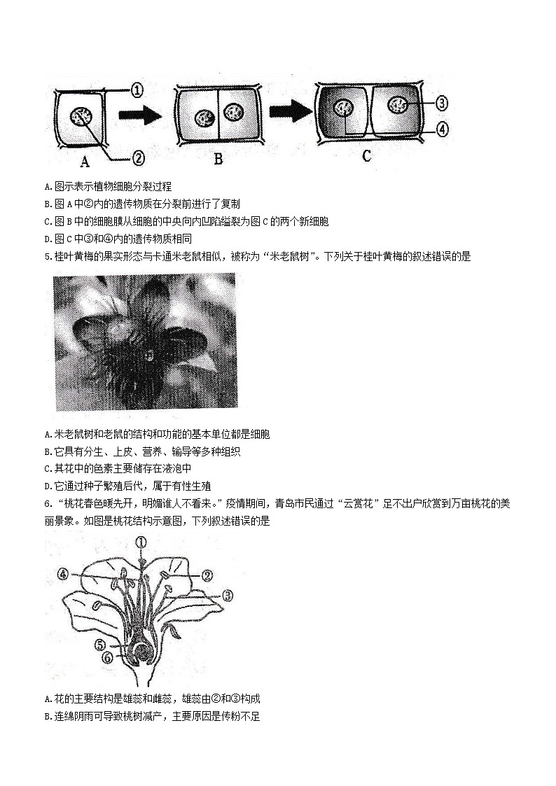 山东省青岛市西海岸新区2021-2022学年八年级下学期期中生物试题(word版含答案)02