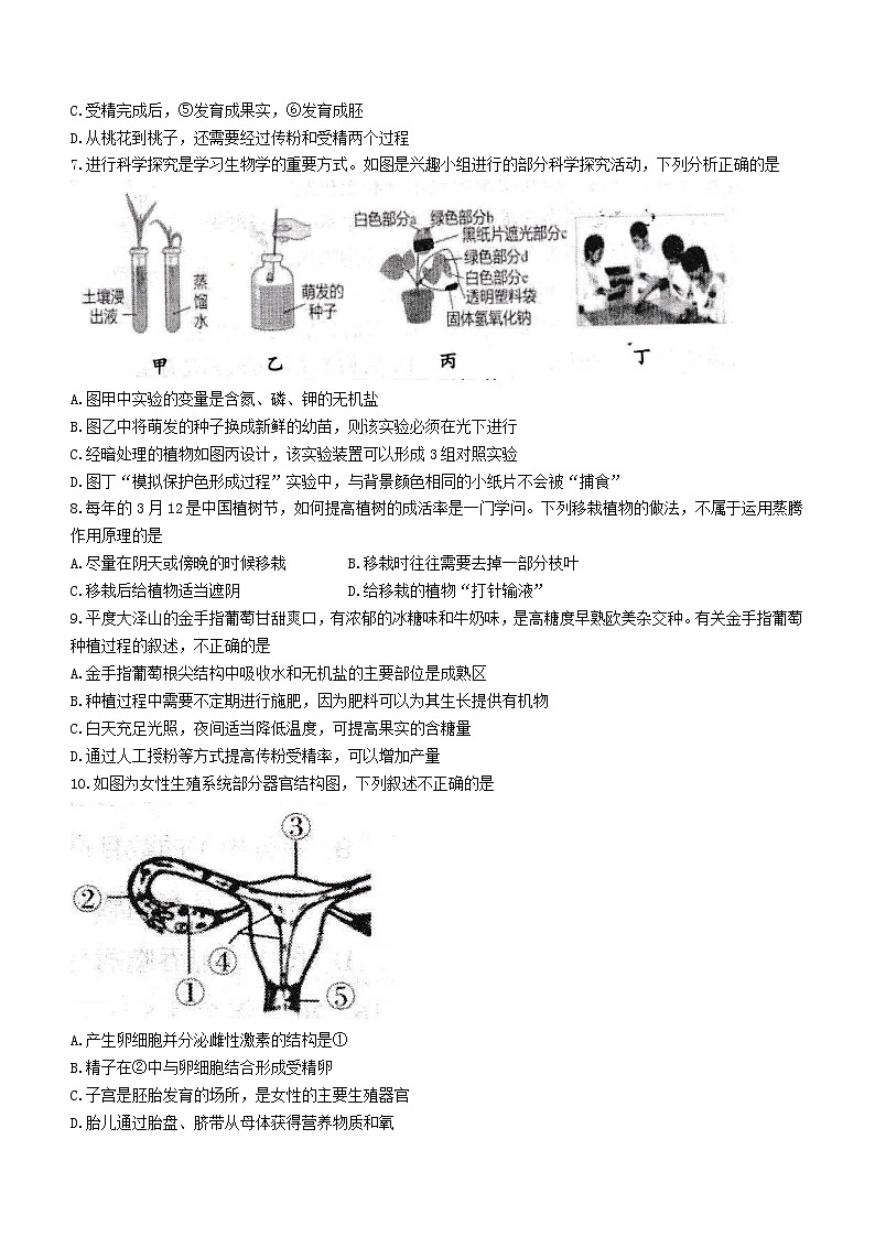 山东省青岛市西海岸新区2021-2022学年八年级下学期期中生物试题(word版含答案)03