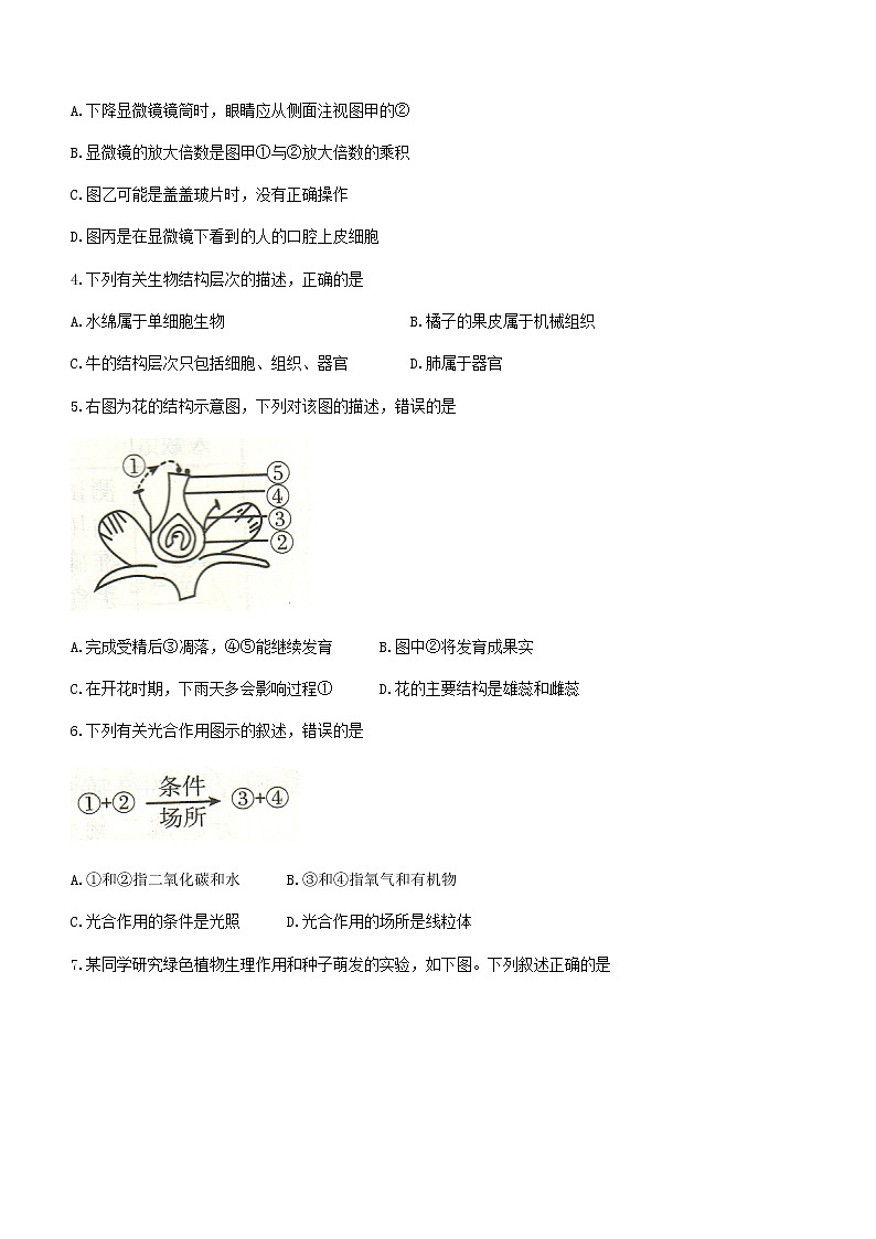 河南省新乡市延津县2021-2022学年八年级下学期期中生物试题(word版含答案)02