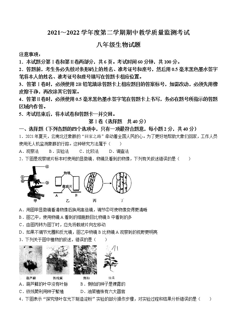 山东省济宁市曲阜市2021-2022学年八年级下学期期中生物试题(word版含答案)第1页