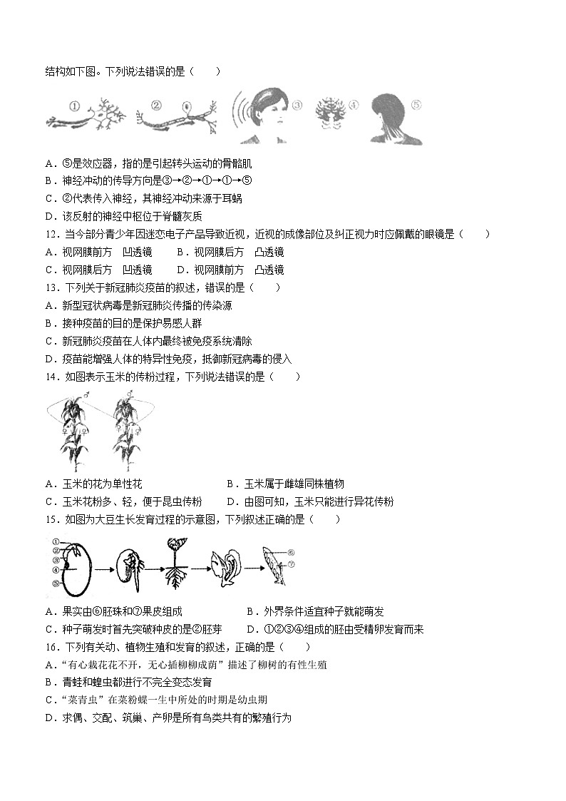 山东省济宁市曲阜市2021-2022学年八年级下学期期中生物试题(word版含答案)第3页