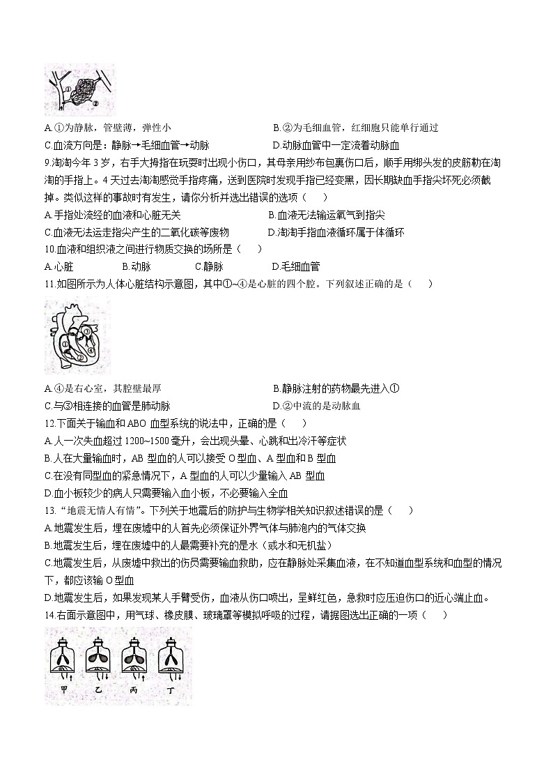 河南省商丘市虞城县2021-2022学年七年级下学期期中生物试题（A卷）(word版含答案)02