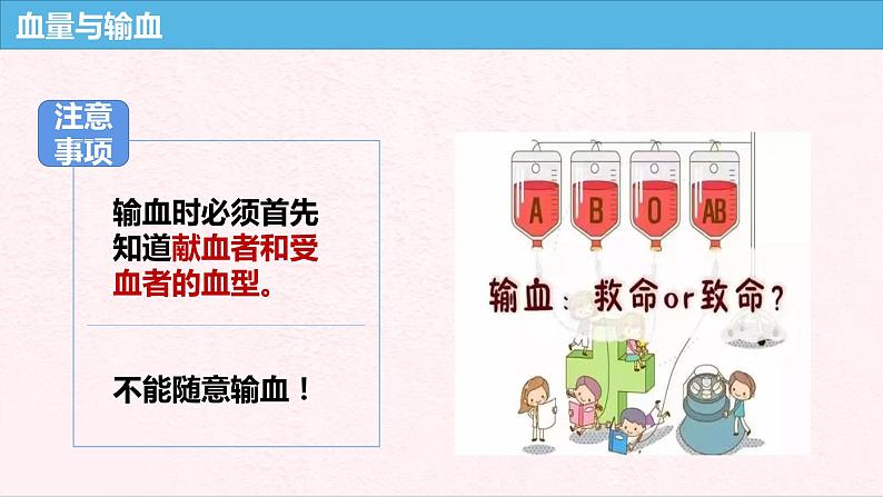 4.4.4输血与血型课件人教版七年级下册生物07