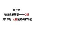 冀教版七年级下册第二单元 我们的身体与健康的生活第二章 爱护心脏 确保运输第二节 物质运输的器官心脏授课ppt课件