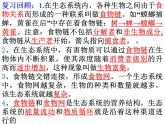 6.2.3能量流动和物质循环课件济南版生物八年级下册